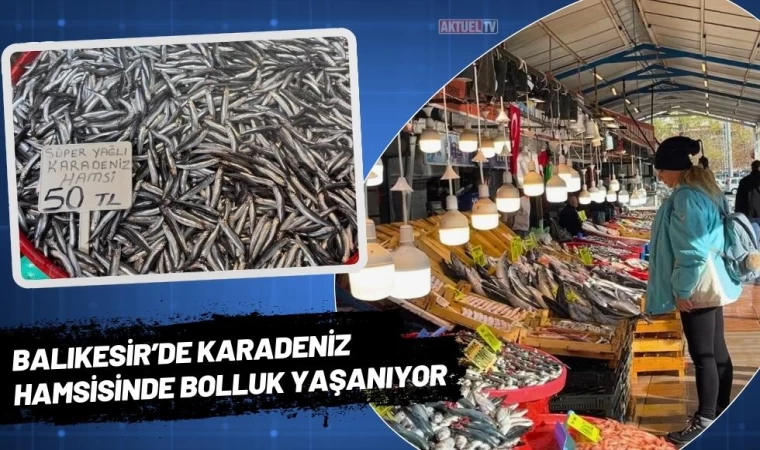 Balıkesir’de Karadeniz Hamsisinde Bolluk Yaşanıyor