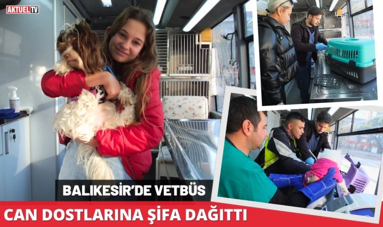 Balıkesir’de VETBÜS Can Dostlarına Şifa Dağıttı