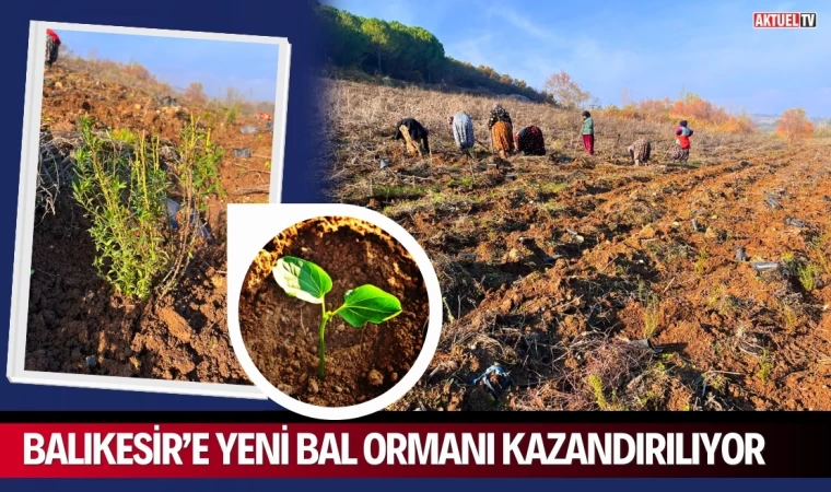 Balıkesir’e Yeni Bal Ormanı Kazandırılıyor