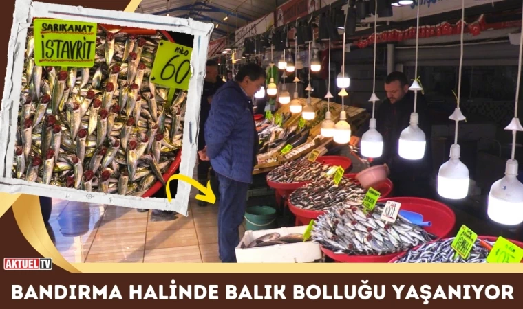 Bandırma Halinde Balık Bolluğu Yaşanıyor