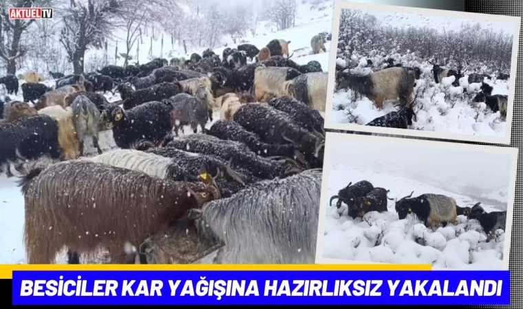 Besiciler Kar Yağışına Hazırlıksız Yakalandı