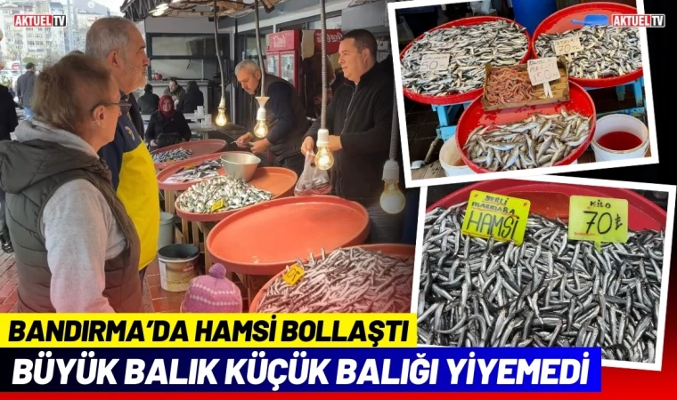 Büyük Balık Küçük Balığı Yiyemedi, Hamsi Bollaştı