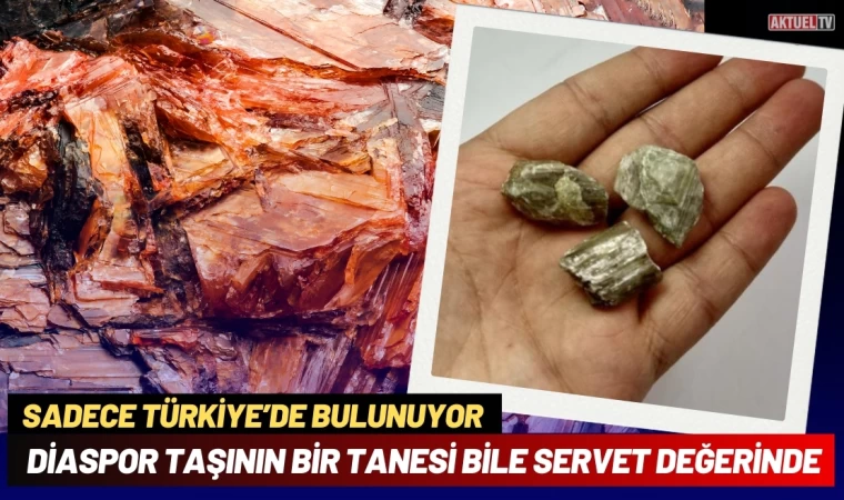 Diaspor Taşının Bir Tanesi Bile Servet Değerinde