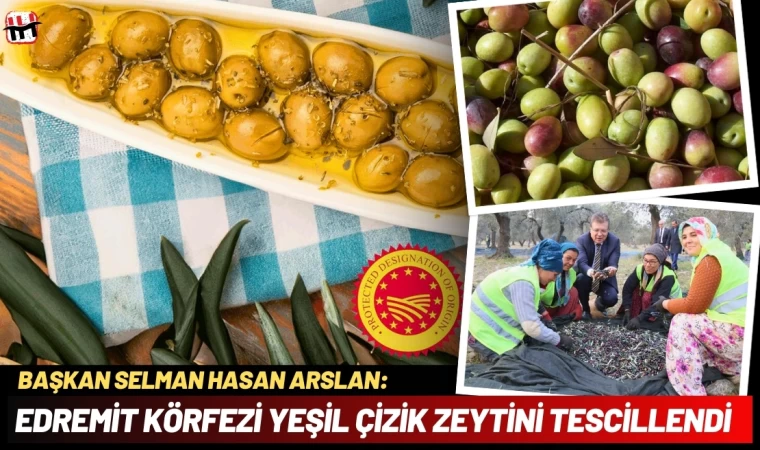 Edremit Körfezi Yeşil Çizik Zeytini AB Tarafından Tescillendi