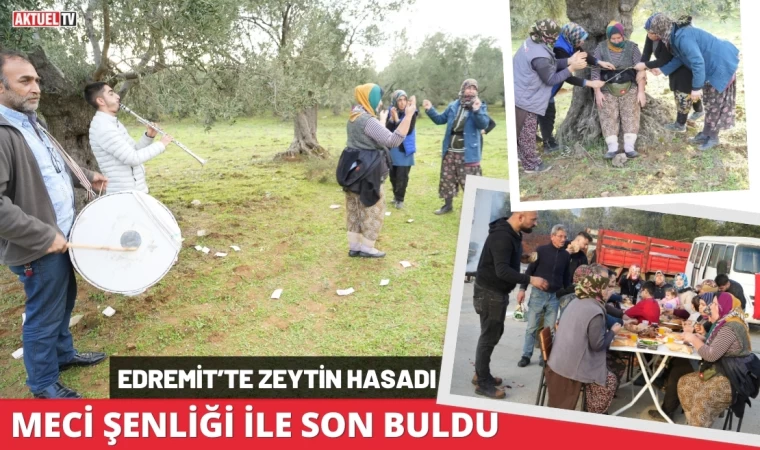 Edremit’te Zeytin Hasadı Meci Şenliği İle Son Buldu