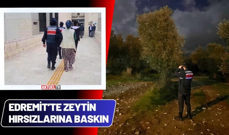 Edremit’te Zeytin Hırsızlarına Baskın