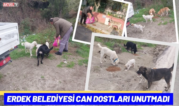 Erdek Belediyesi Can Dostları Unutmadı