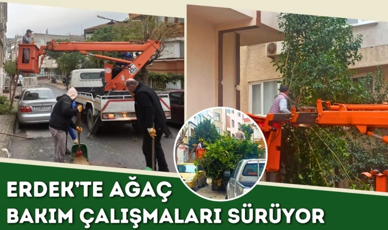 Erdek’te Ağaç Bakım Çalışmaları Sürüyor