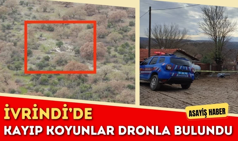 İvrindi’de Kayıp Koyunlar Dronla Bulundu