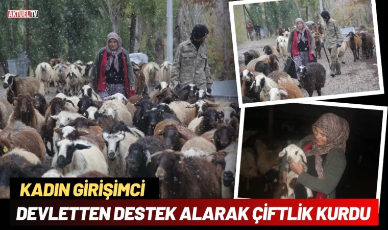 Kadın Girişimci Devletten Destek Alarak Çiftlik Kurdu