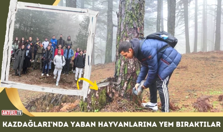 Kazdağları'nda Yaban Hayvanlarına Yem Bıraktılar