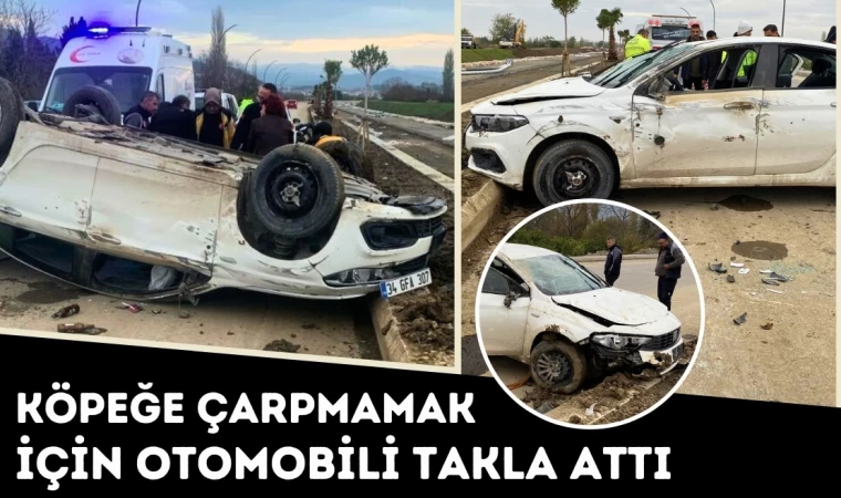 Köpeğe Çarpmamak İçin Otomobili Takla Attı