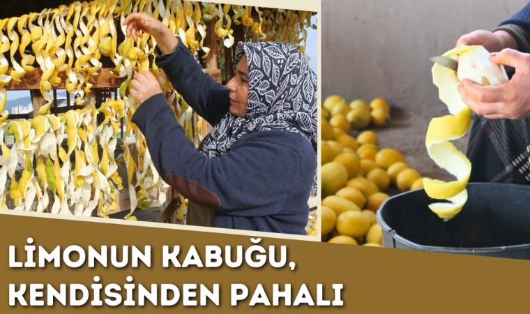 Limonun Kabuğu, Kendisinden Pahalı