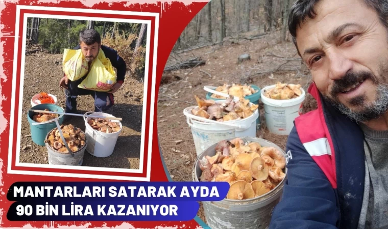 Mantarları Satarak Ayda 90 Bin Lira Kazanıyor