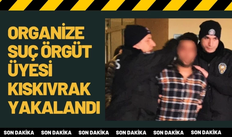 Organize Suç Örgütü Üyesi Tutuklandı