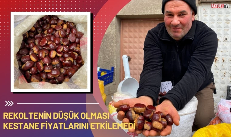 Rekoltenin Düşüklüğü Kestane Fiyatlarını Etkilemedi