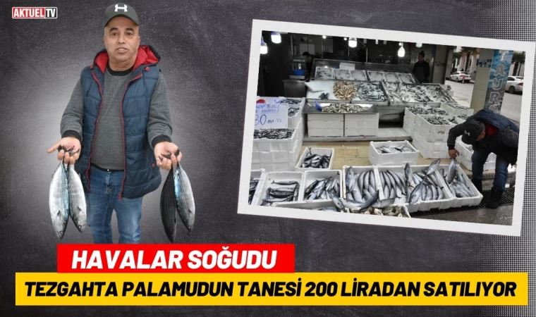 Tezgahta Palamudun Tanesi 200 Liradan Satılıyor