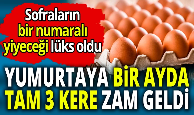 Yumurtaya Bir Ayda Tam 3 Kere Zam Geldi