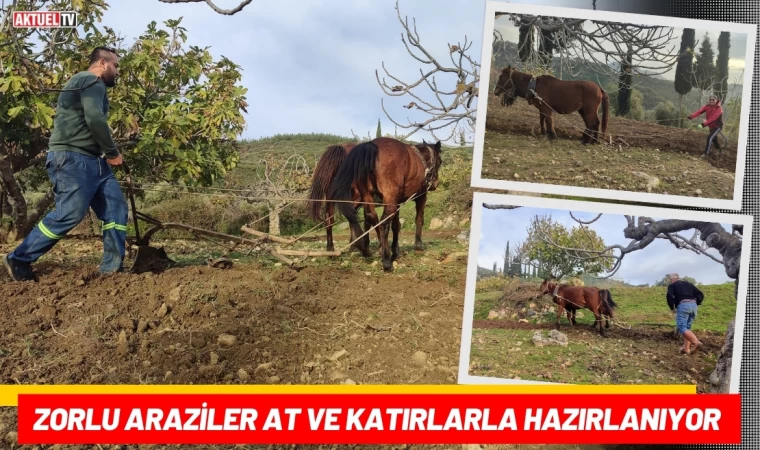 Zorlu Araziler At ve Katırlarla Hazırlanıyor