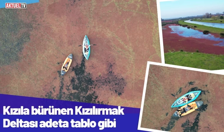 Kızıla bürünen Kızılırmak Deltası adeta tablo gibi 