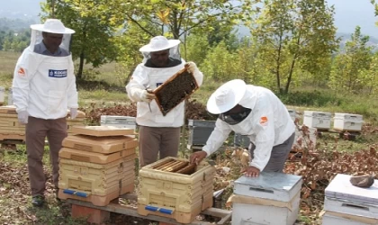 Büyükşehir’den arıcılara 55 ton arı yemi