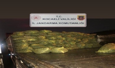 Kocaeli’de 10 ton kaçak midye ele geçirildi