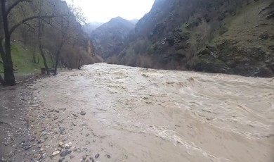 Munzur ve Pülümür çayları taştı, yetkililer uyardı