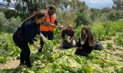 ’Tarıma destek ol Hatay’ hayata geçirildi