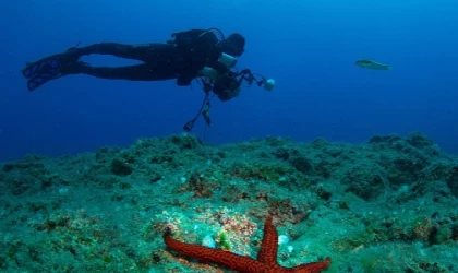 Kemer 22. Uluslararası Su Altı Günleri