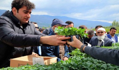 Akademik fidelerin satışı başlatıldı