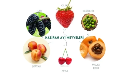 Mevsiminde yetişmiş lezzetli meyvelerin sırrı