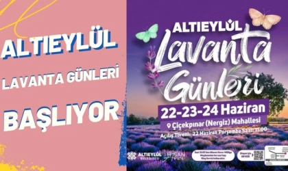 Altıeylül Lavanta Günleri Başlıyor