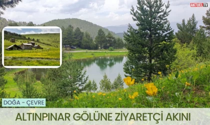 Altınpınar Gölüne ziyaretçi akını