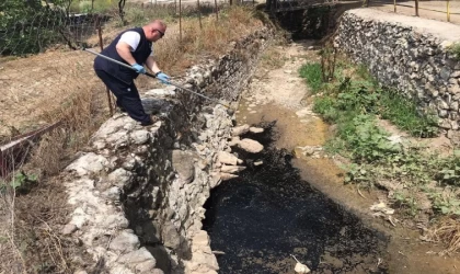 Ayvalık’ta ilaçlama çalışmaları devam ediyor