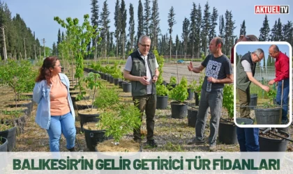 Balıkesir’in Gelir Getirici Tür Fidanları