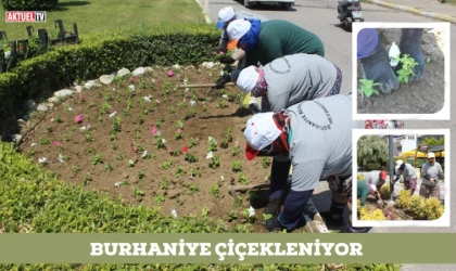 Burhaniye çiçekleniyor