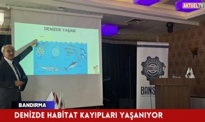 Denizde habitat kayıpları yaşanıyor