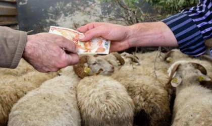 Kurbanlık satışını başvuru ile yapacaklar!