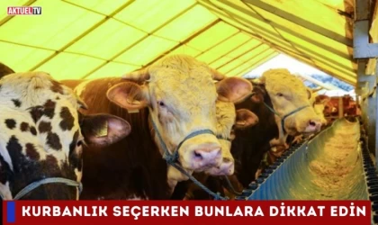 Kurbanlık Seçerken Dikkat