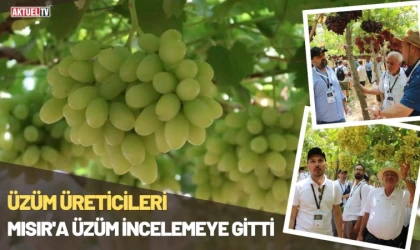 Üzüm Üreticileri Mısır’a Üzüm İncelemeye Gitti