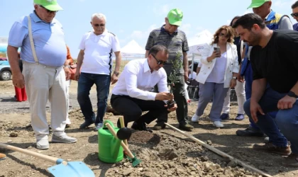 Yağlık 5 bin 100 Adet Zeytin fidanı toprakla buluştu