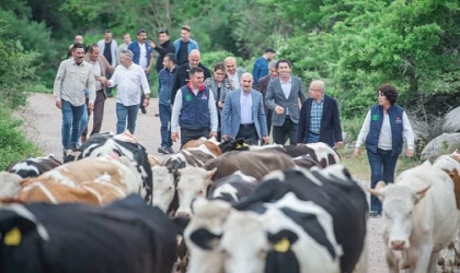 Yayla yolculuğu başladı