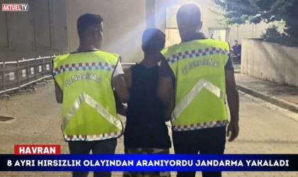 8 Ayrı Hırsızlık Olayından Aranıyordu Jandarma Yakaladı