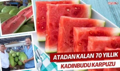 Atadan Kalan 70 Yıllık Kadınbudu Karpuzu