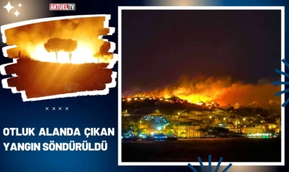 Ayvalık’ta Otluk Alanda Çıkan Yangın Söndürüldü