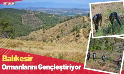 Balıkesir Ormanlarını Gençleştiriyor