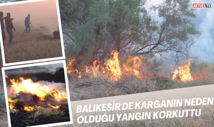 Balıkesir'de Karganın Neden Olduğu Anız Yangını Korkuttu