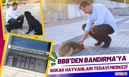 BBB’den Bandırma’ya Sokak Hayvanları Tedavi Merkezi