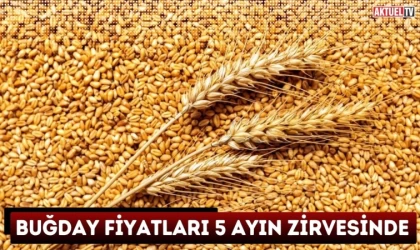 Buğday Fiyatları 5 Ayın Zirvesinde