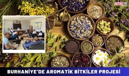 Burhaniye’de Aromatik Bitkiler Projesi